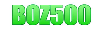 Logo BOZ500